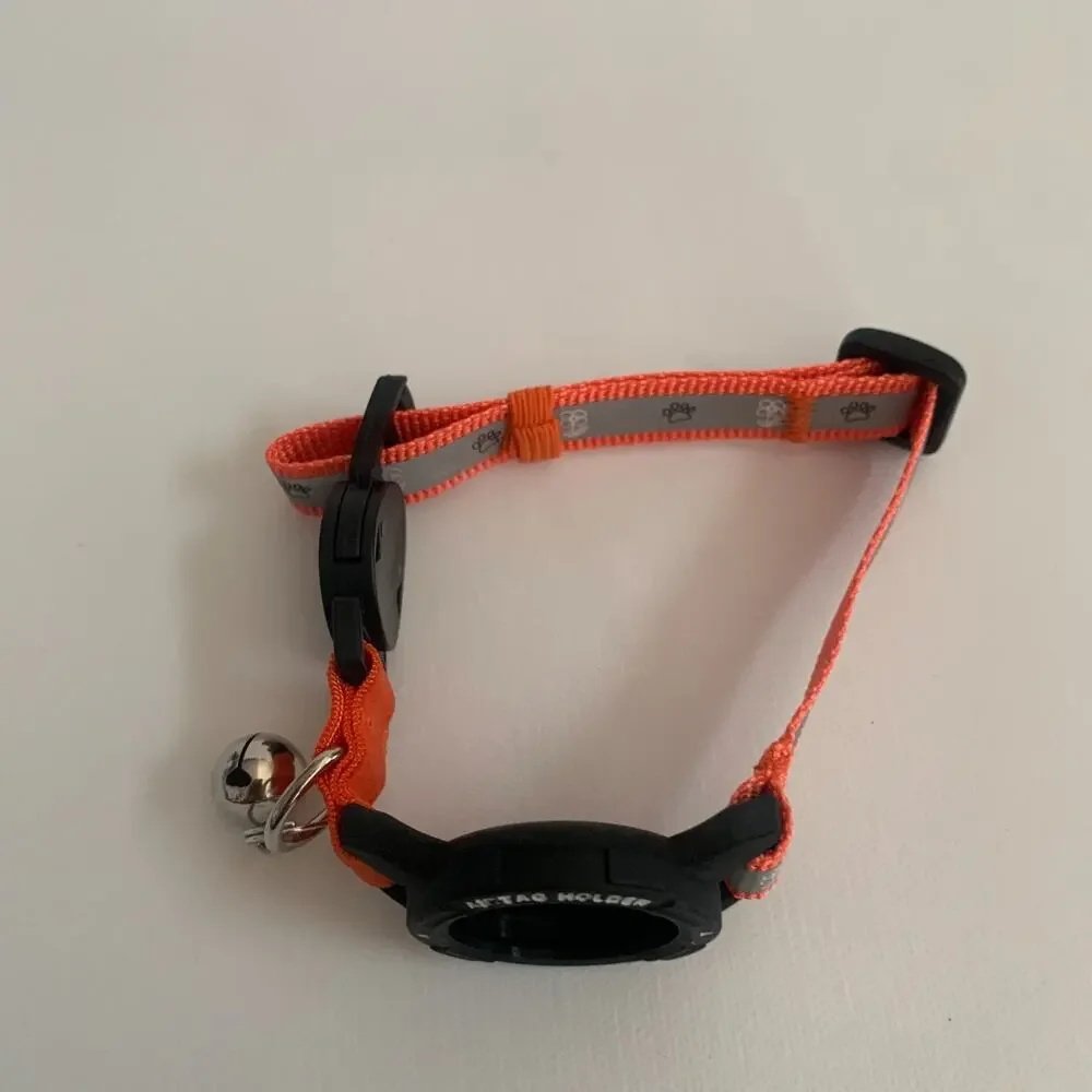 Unbranded airtag cat